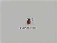 藏品(埔里胖絨毛金龜)的圖片